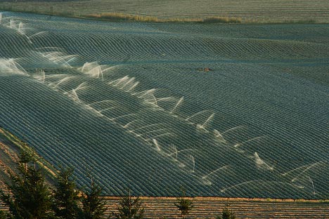 Agriculture