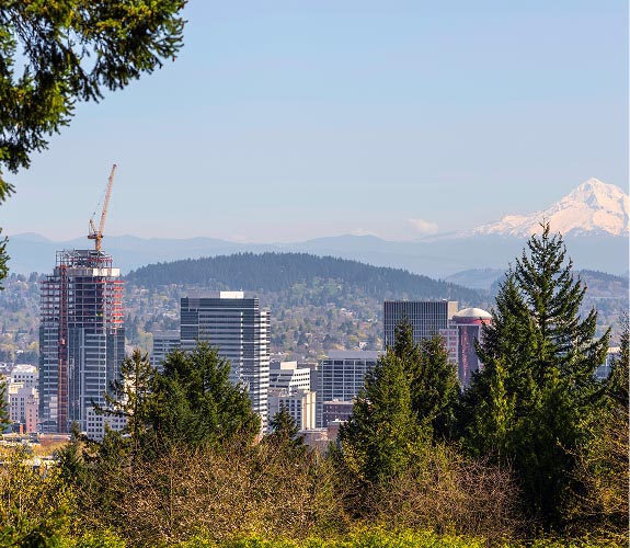 Construction and Infrastructure Image